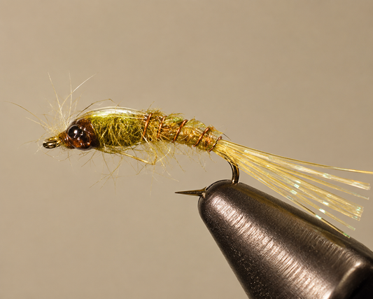 Stone Creek Blue Damselfly Nymph