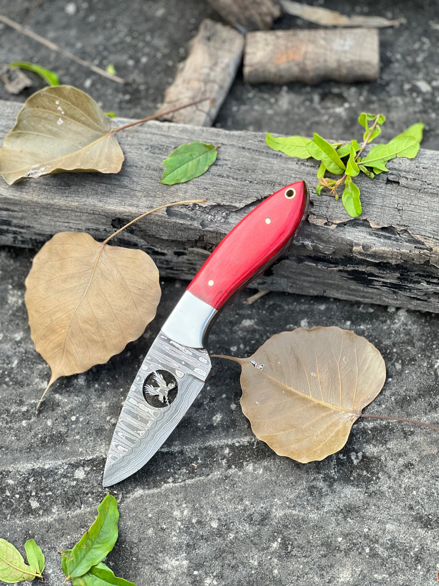 Texan Knives FIXED BLADE POCKET KNIFE, PERSONALIZED DAMASCUS STEEL FIXED BLADE HUNTING KNIFE