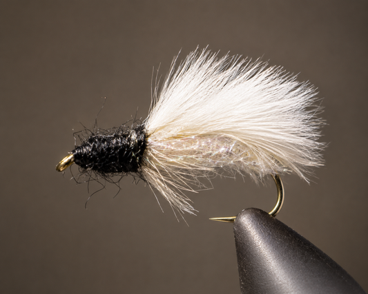 Stone Creek Caddis Pupa