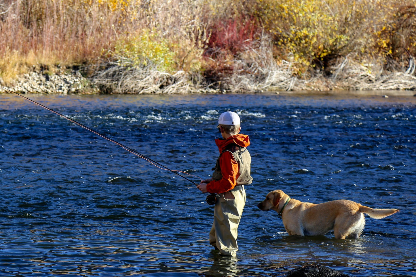 The Fly Fishing Place Galloup's Zoo Cougar Golden Brown Streamer Fly - 12 Flies Size 4