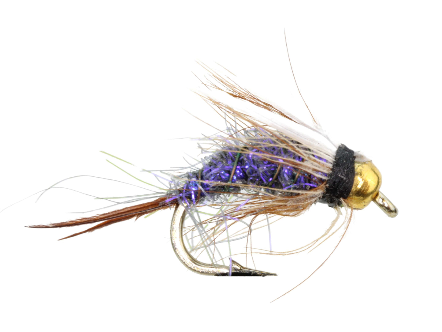 Wild Water - Bead Head Purple Prince Nymph, Size 14, Qty. 6