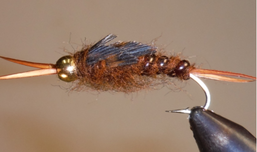 Stone Creek BH Giant Stonefly Nymphs
