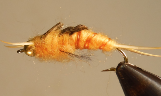 Stone Creek BH Giant Stonefly Nymphs