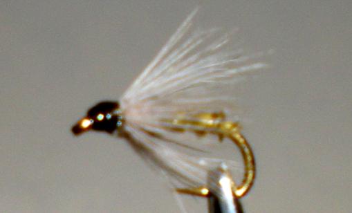 Stone Creek Biot Soft Hackle™ - BWO