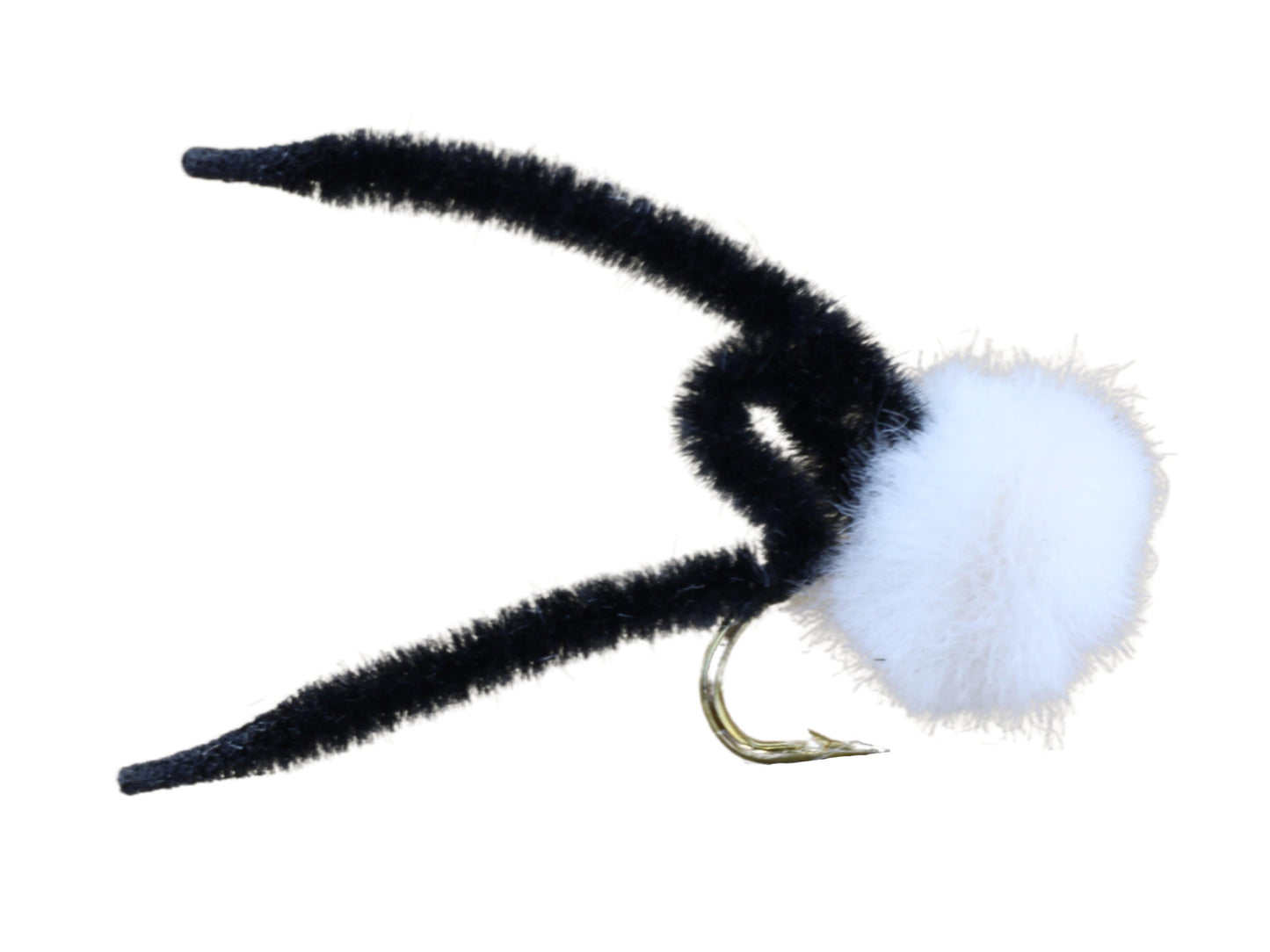 Wild Water - Black Eggi Juan, Size 12, Qty. 6