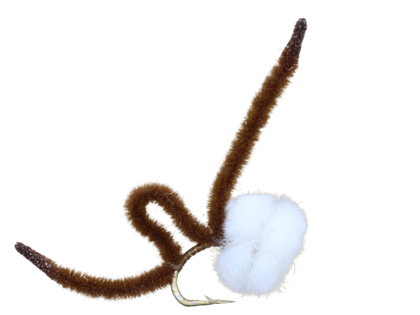 Wild Water - Brown Eggi Juan, Size 12, Qty. 6