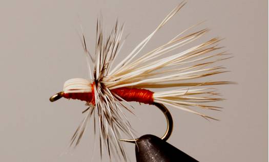 Stone Creek Buck Caddis - Orange