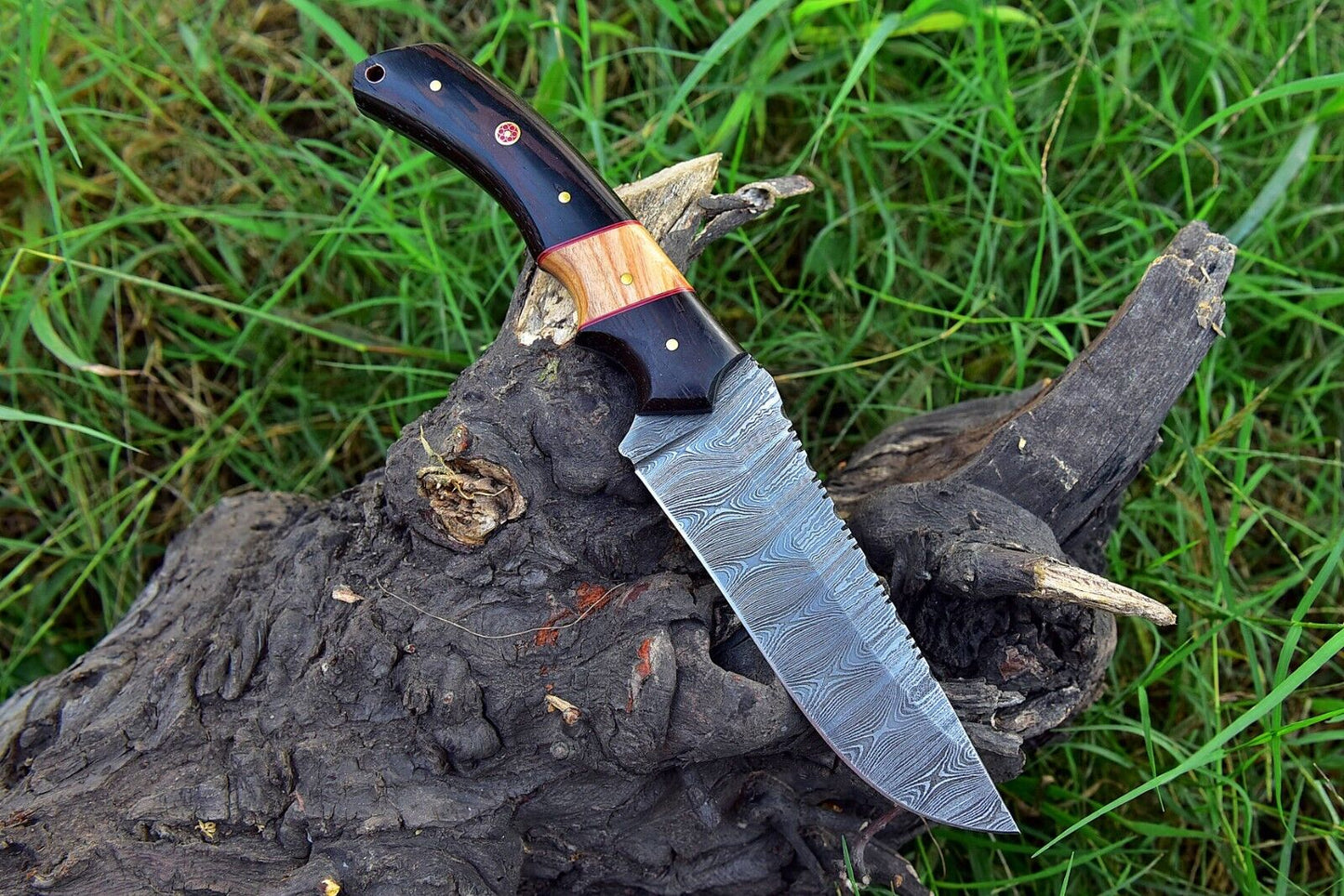 Texan Knives Custom Handmade Skinning Knife – Damascus Steel, Buffalo Horn & Olive Wood Handle