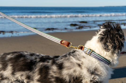 Whiskey Leatherworks Saltwater Dog Leash