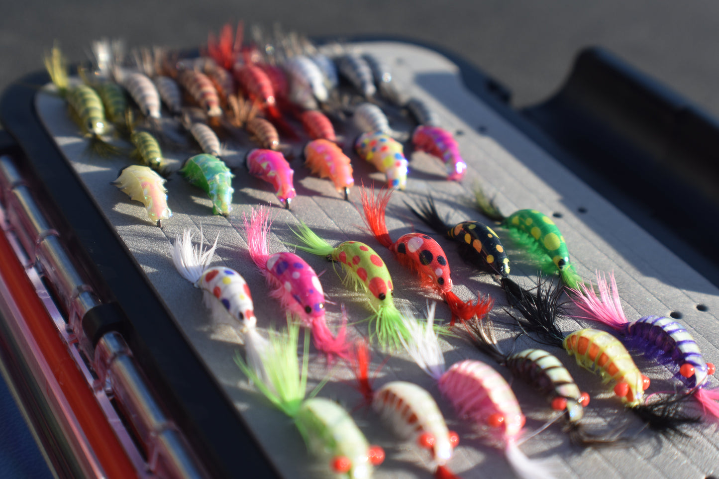 Kenders - 36 Piece Shrimp/Waxie Kit with Premium Box