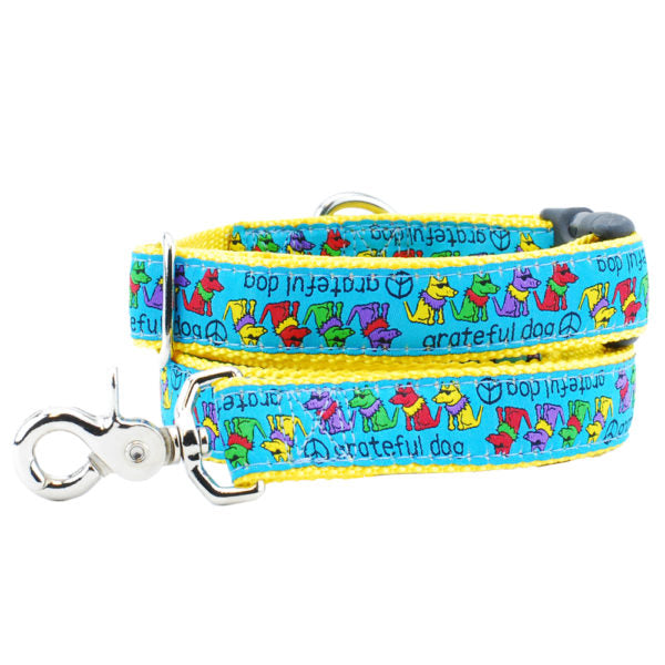 2 Hounds Design 1″ Grateful Dog Teddy The Dog 5ft Ribbon Dog Leash