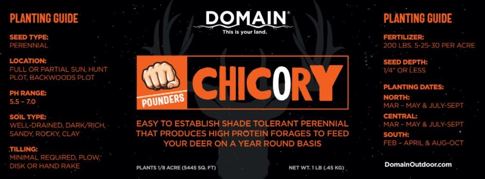 Domain Outdoor Pounder - Chicory