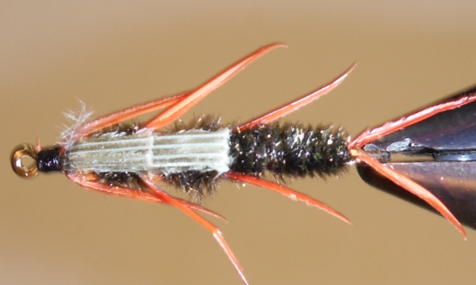 Stone Creek DB Peacock Stonefly Nymphs