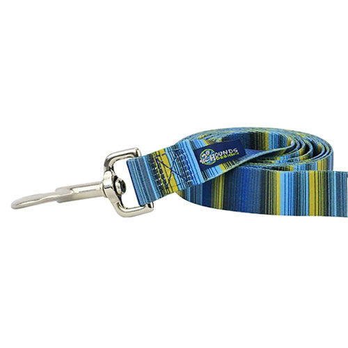 2 Hounds Design Clyde Dog Leash – EarthStyle