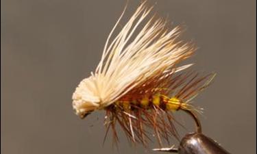 Stone Creek Elk Hair Caddis - 8 Colors!