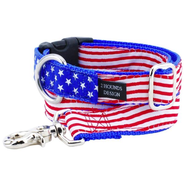 2 Hounds Design 1″ Stars and Stripes Ribbon Dog Leash