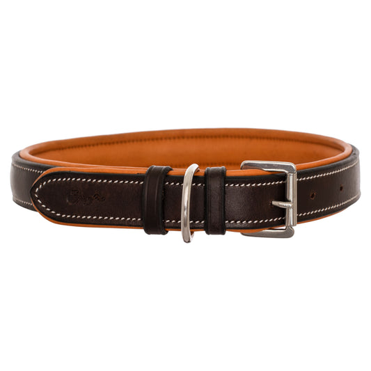 Bridles & Reins ExionPro Silver Snaffle Padded Leather Dog Collar - Conker Padding