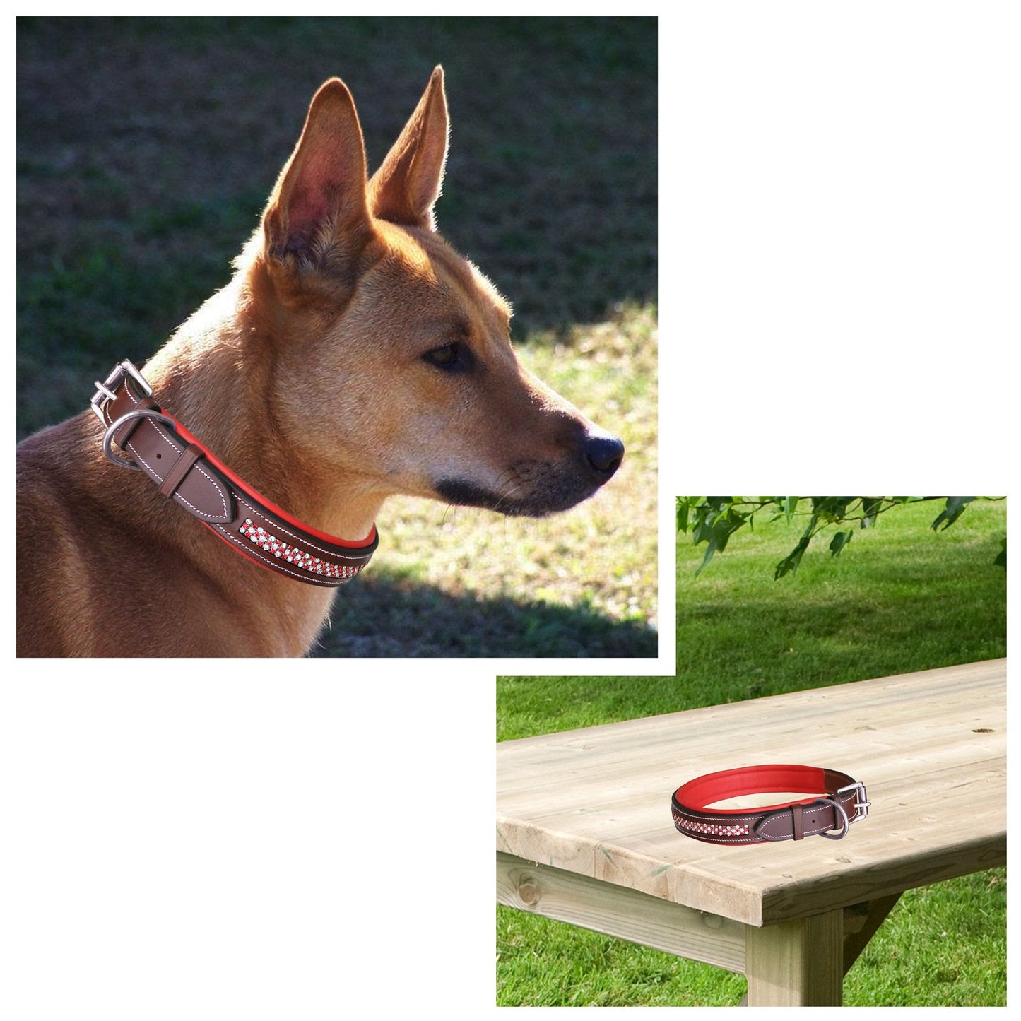 Bridles & Reins ExionPro Red Bling Padded Dog Collar With Dog Leash