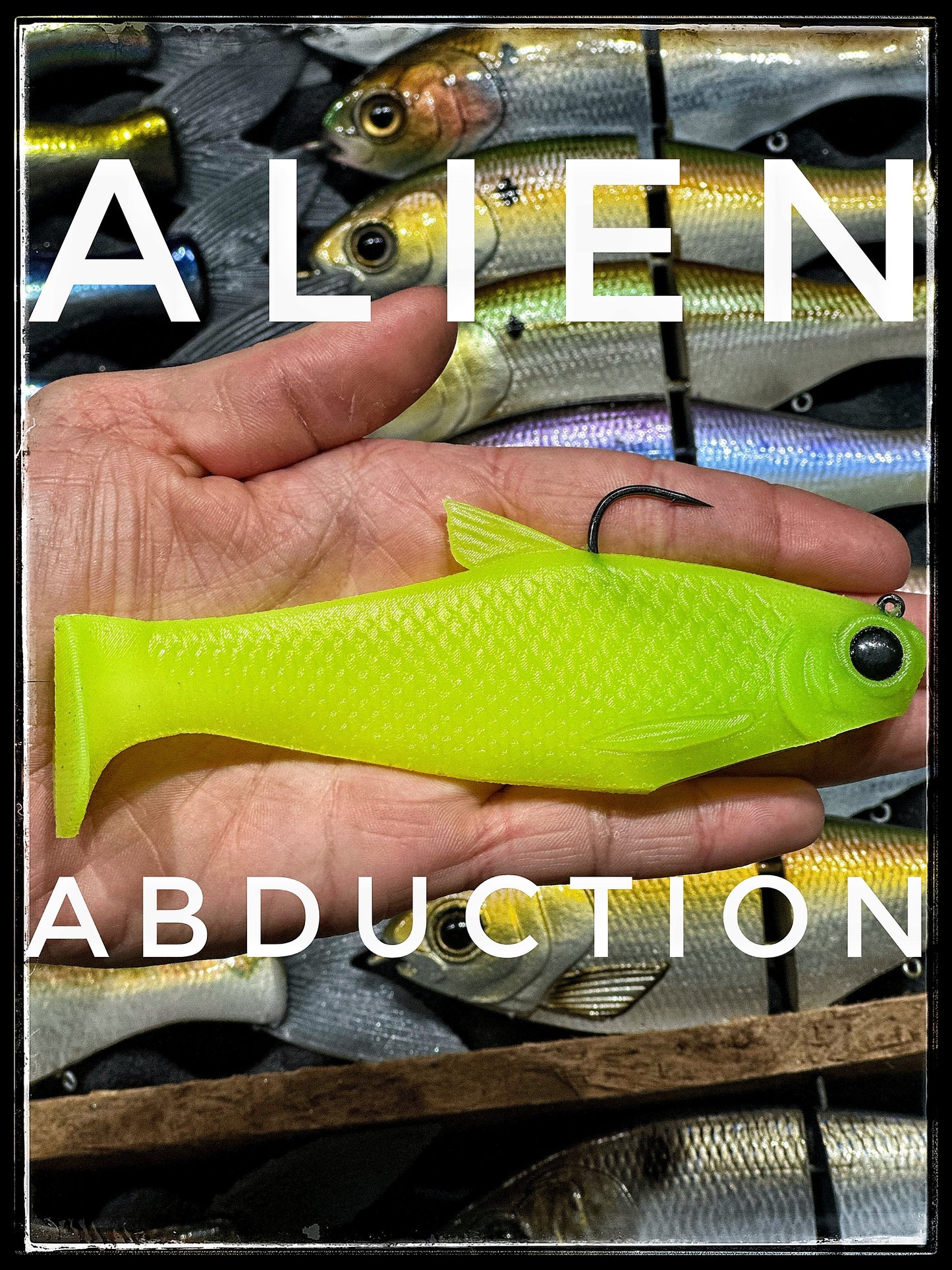 Bull Shad 6" Bacca Burrito Medium Sink