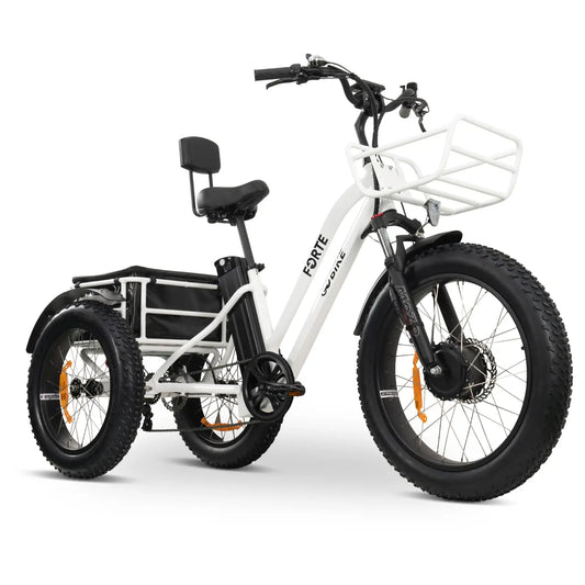 ElectricGOBIKE - FORTE Electric Tricycle