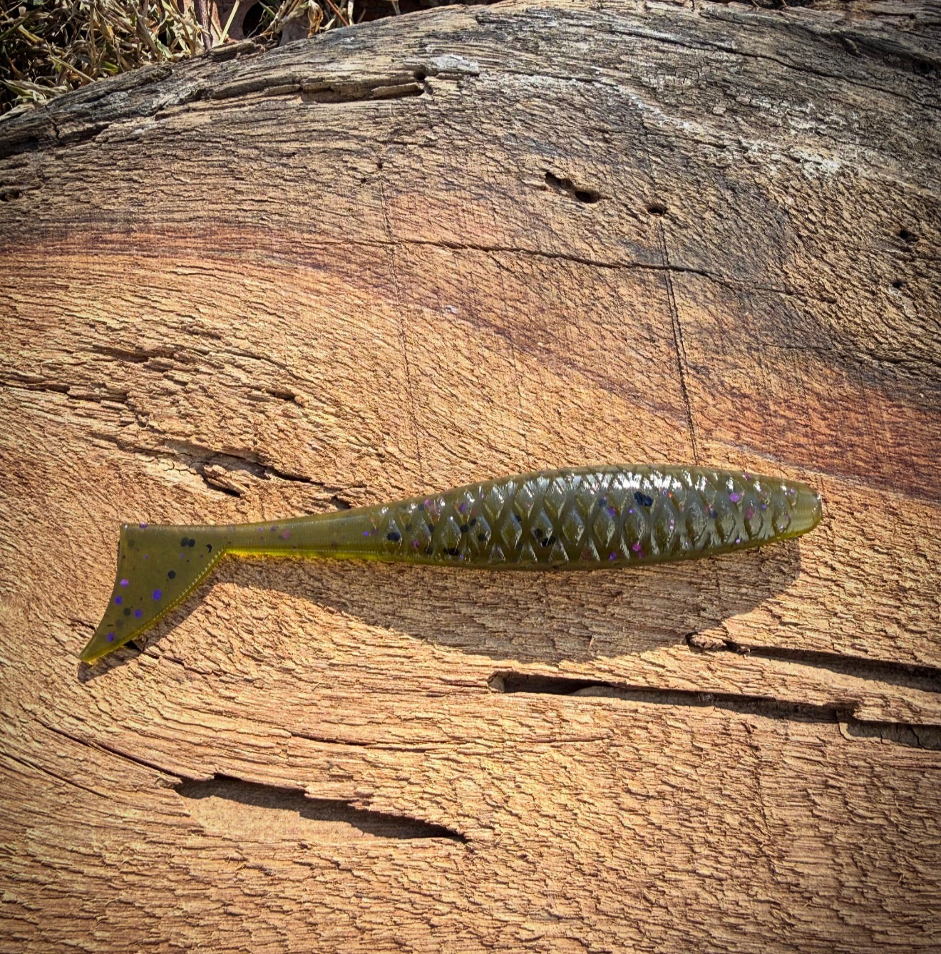 Fish or Die The Dagger