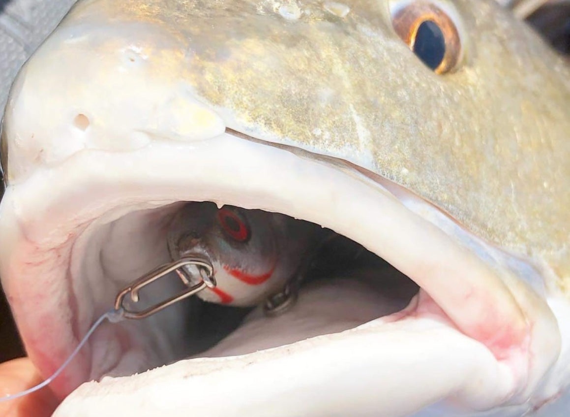 Topwater Co Small Speed Clips (45lbs)