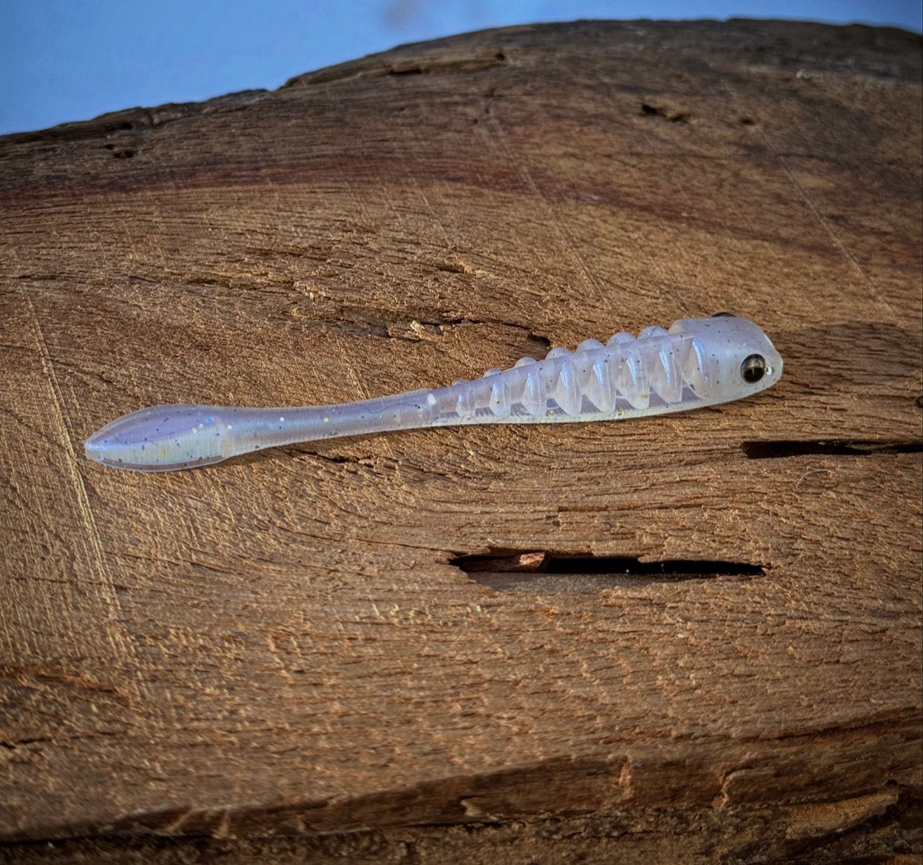 Fish or Die The Gadsden
