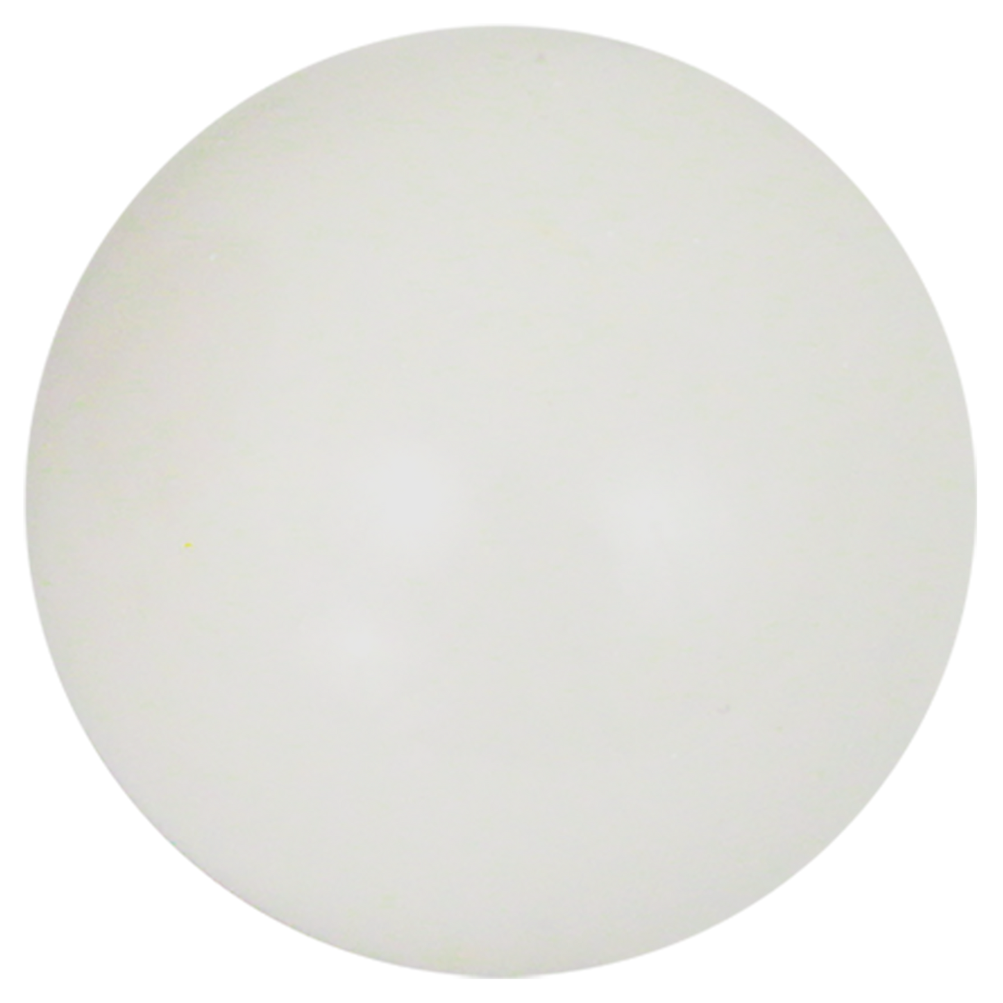 Baden Sports Champions Series 60MM White Pallino