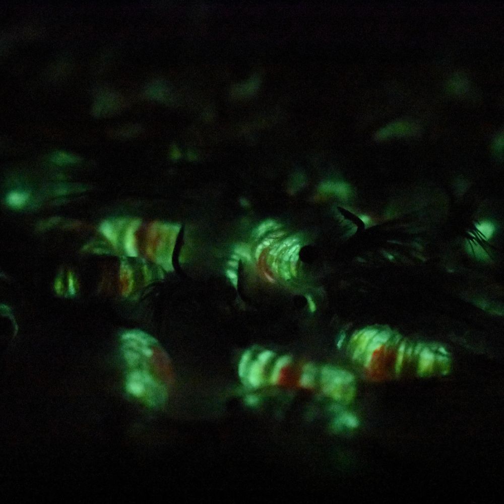 Kenders - Tungsten Hot Spot Shrimp