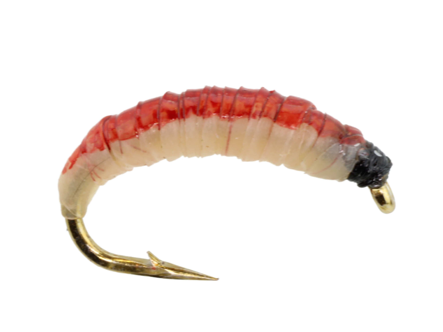 Wild Water - Gooey Grub, Size 10, Qty. 6