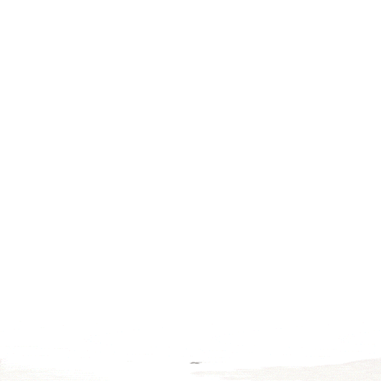 Badgley Mischka Grace 3 Piece Expandable Retro Luggage Set