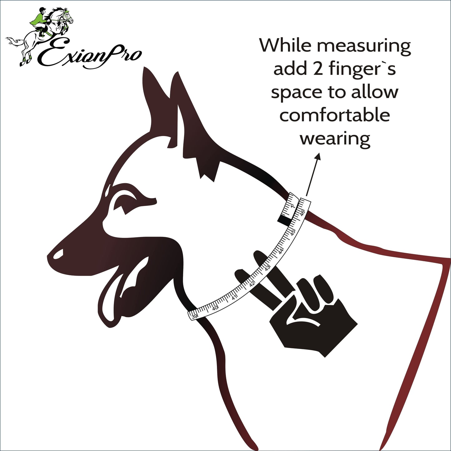 Bridles & Reins ExionPro Blue Bling Dog Collar With Leash