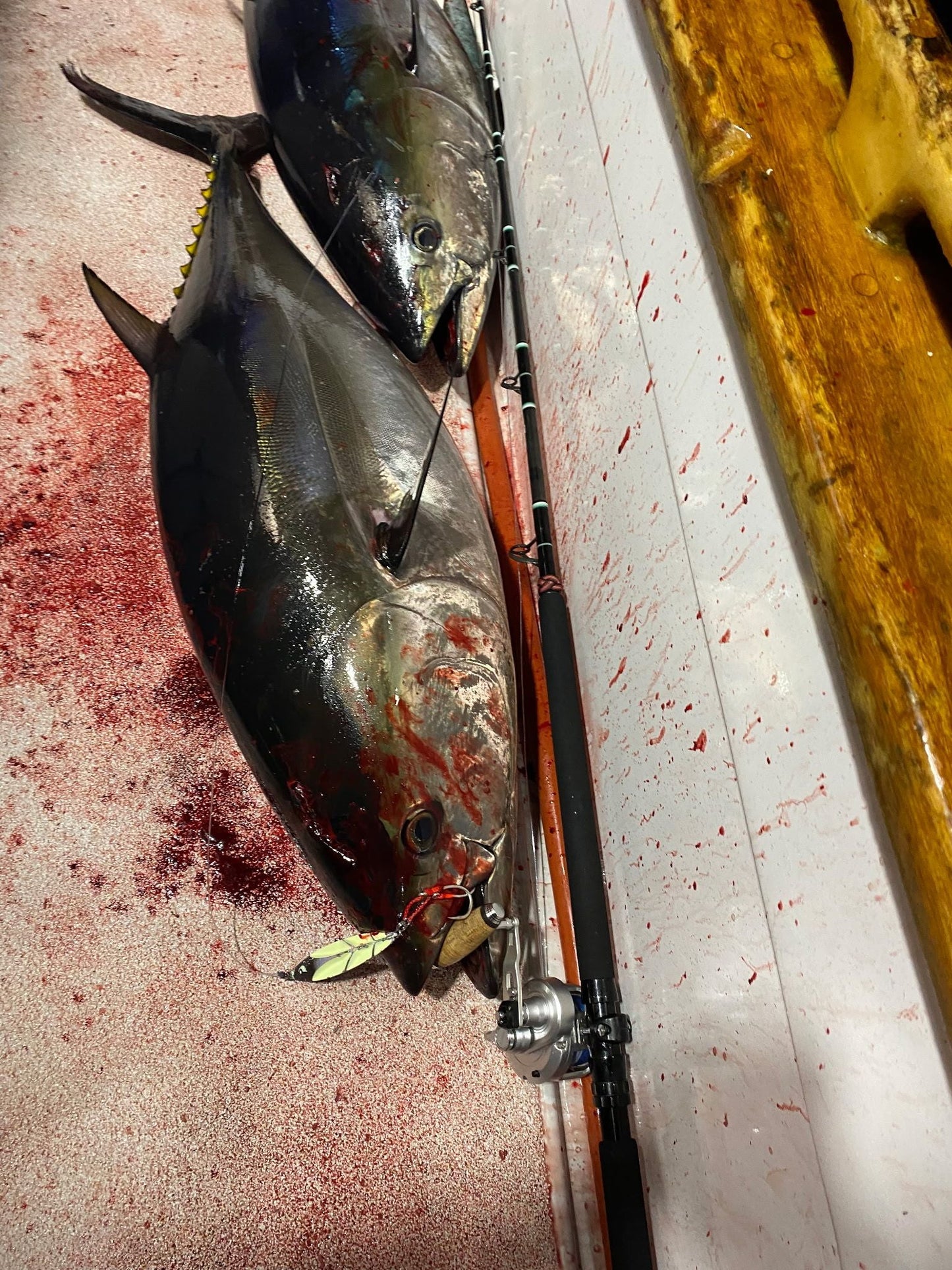 Submission Fishing Co - Samurai Jigs - Heavyweight Division
