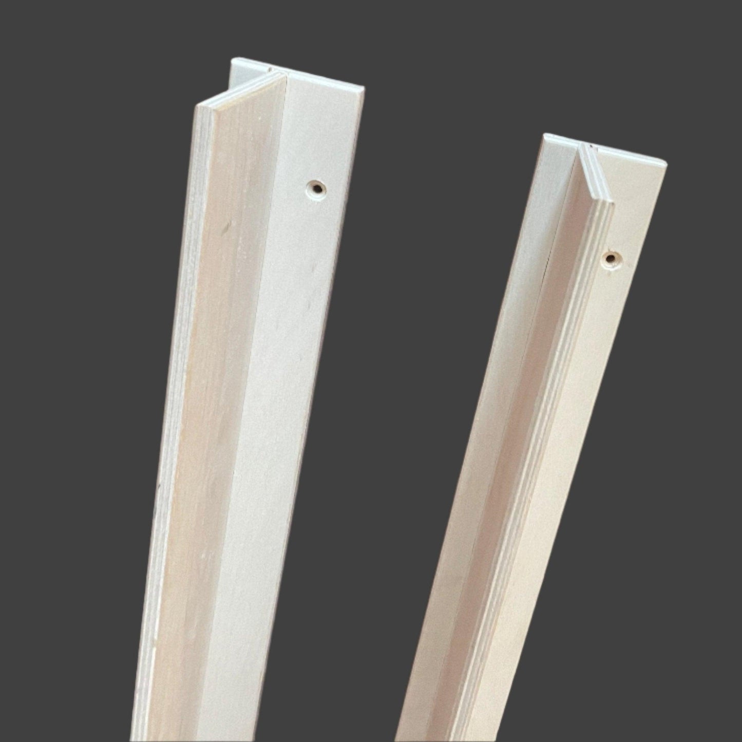 HangThis Up Ledge Shelf - Garage Wall Mounted
