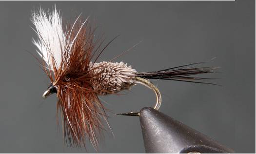 Stone Creek Irresistible - 2 Styles