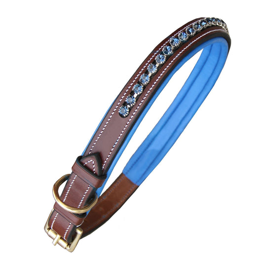 Bridles & Reins ExionPro Dark Blue Bling Dog Collar