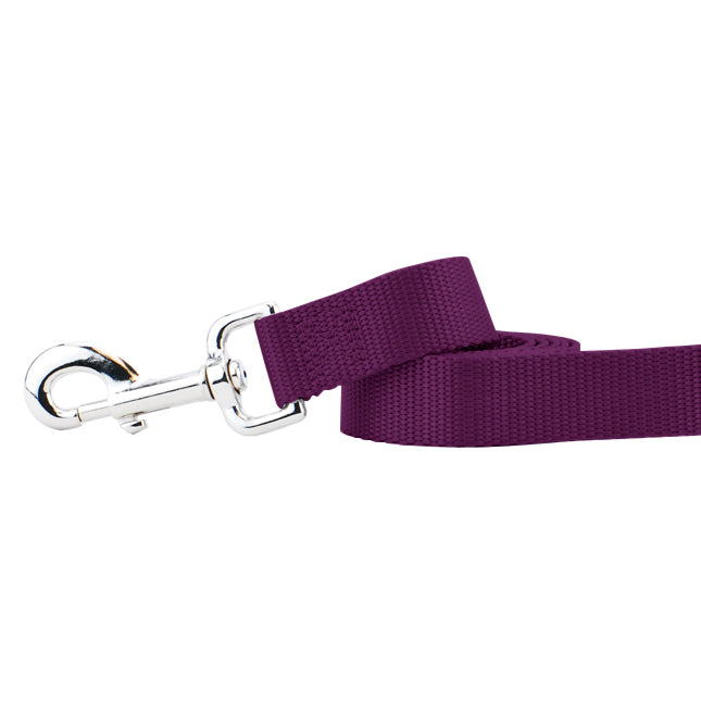 2 Hounds Design Burgundy Nylon Dog Leash