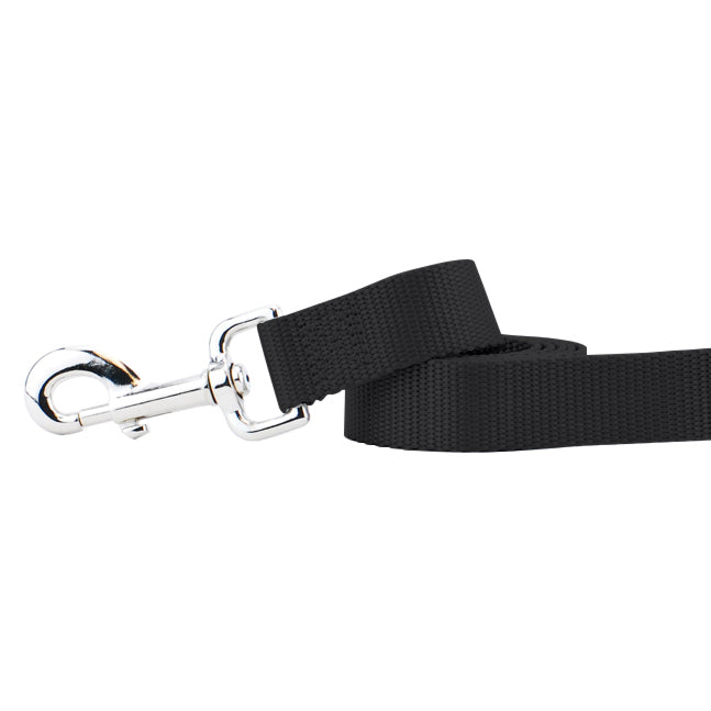 2 Hounds Design Black Nylon Dog Leash
