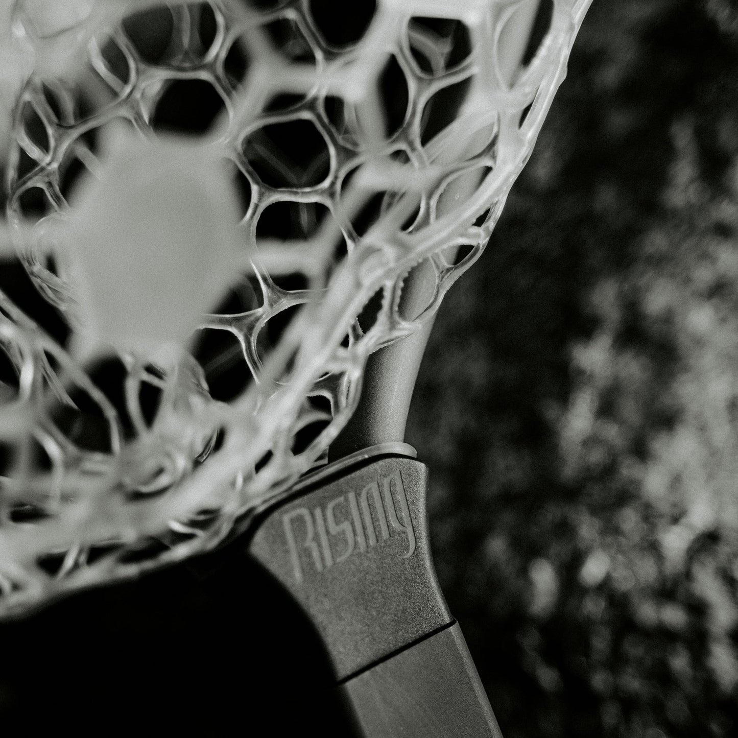 Rising Fishing Lunker Net Package