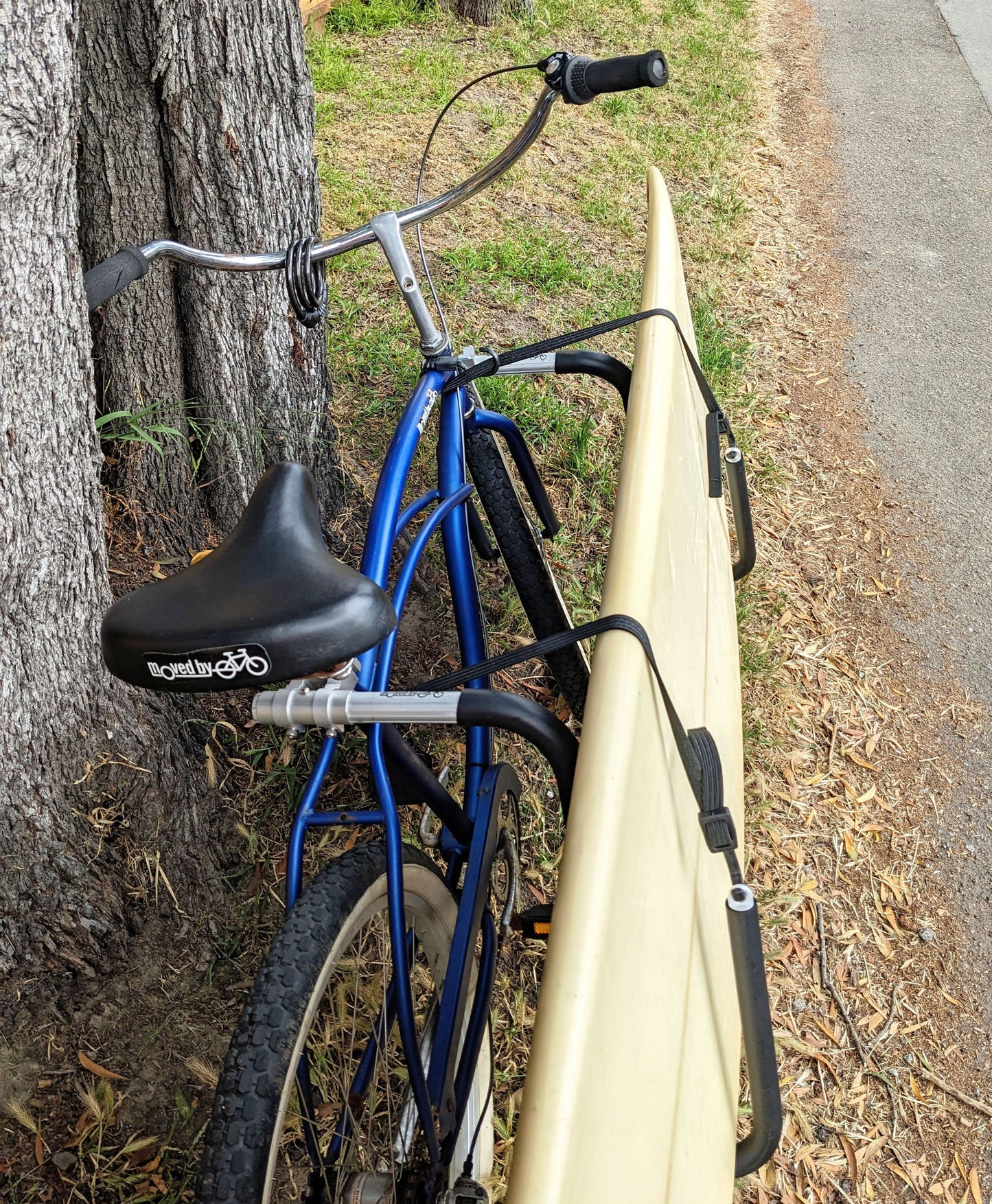 Moved By Bikes Bungee Cord Set (pair)