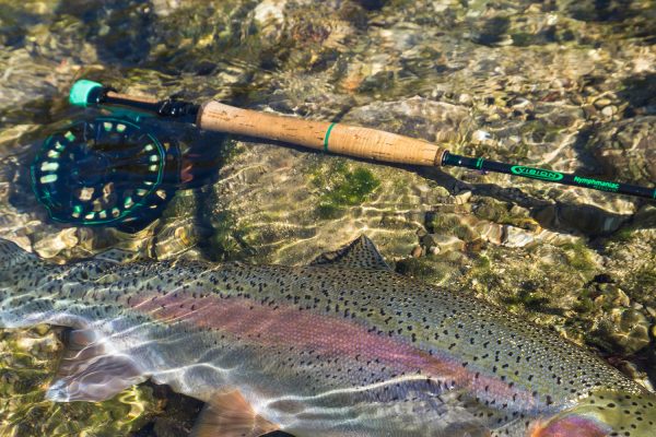 Togens Vision NYMPHMANIAC Fly Rod 4-Piece