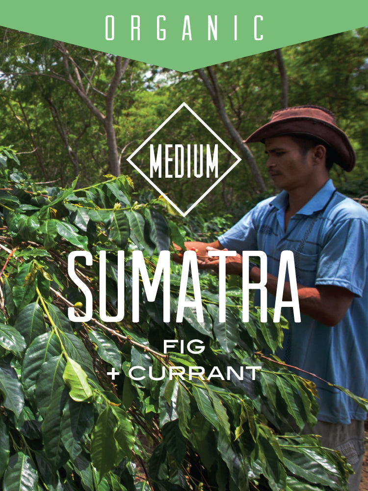 Centri Coffee Organic Sumatra Bener Meriah Mandiri