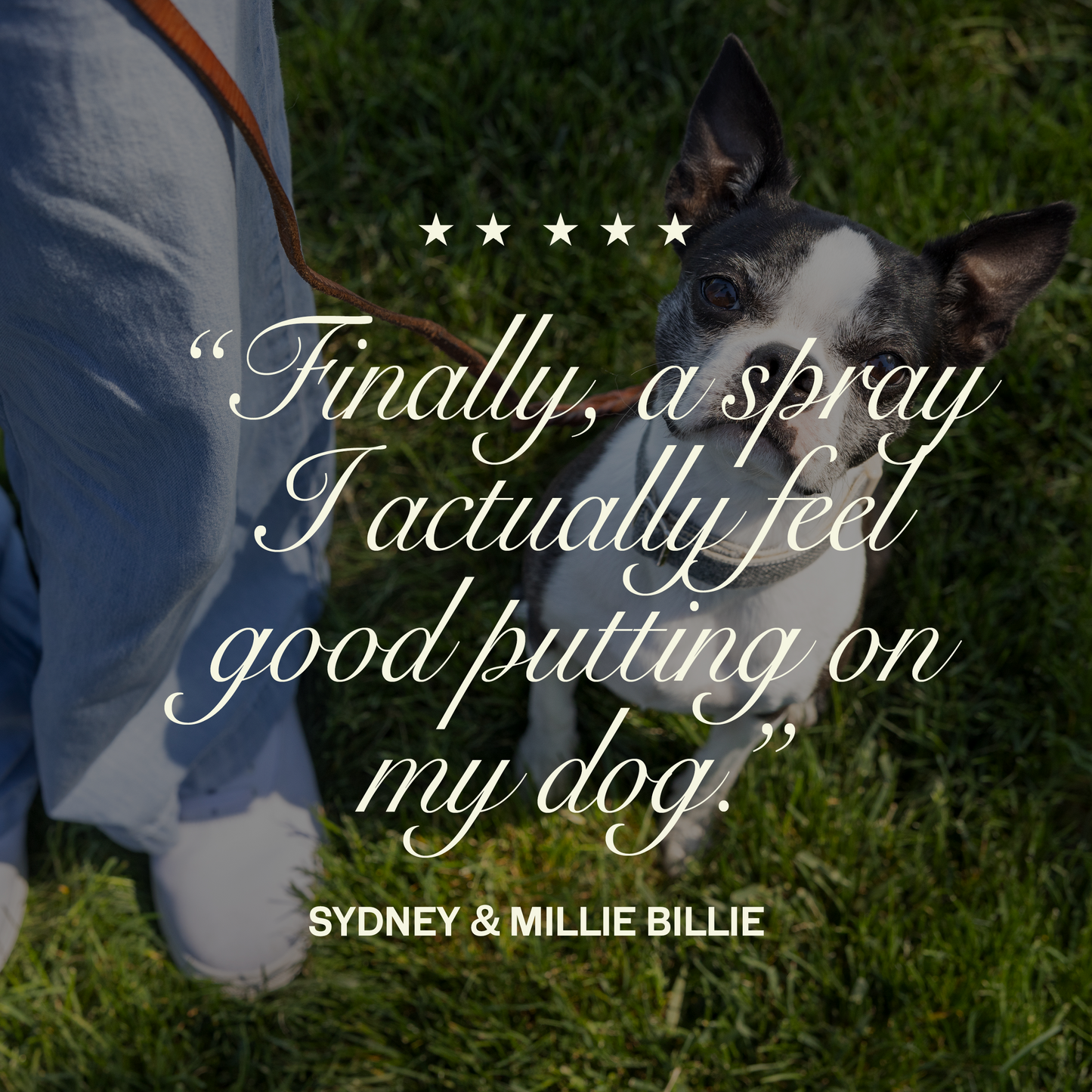 Happy Howl Happy Armor - Flea & Tick Topical Spray