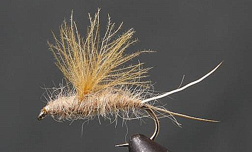 Stone Creek RS2 Emergers - Olive or Tan