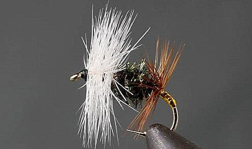 Stone Creek Renegade