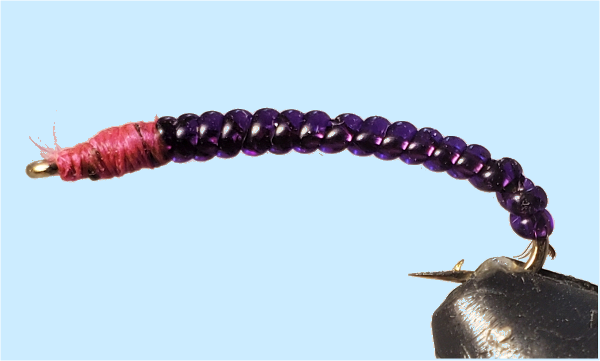 Stone Creek Rock Worm / Annelid - Red or Purple