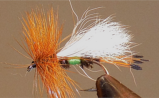 Stone Creek Royal Coachman Trude (Lime)