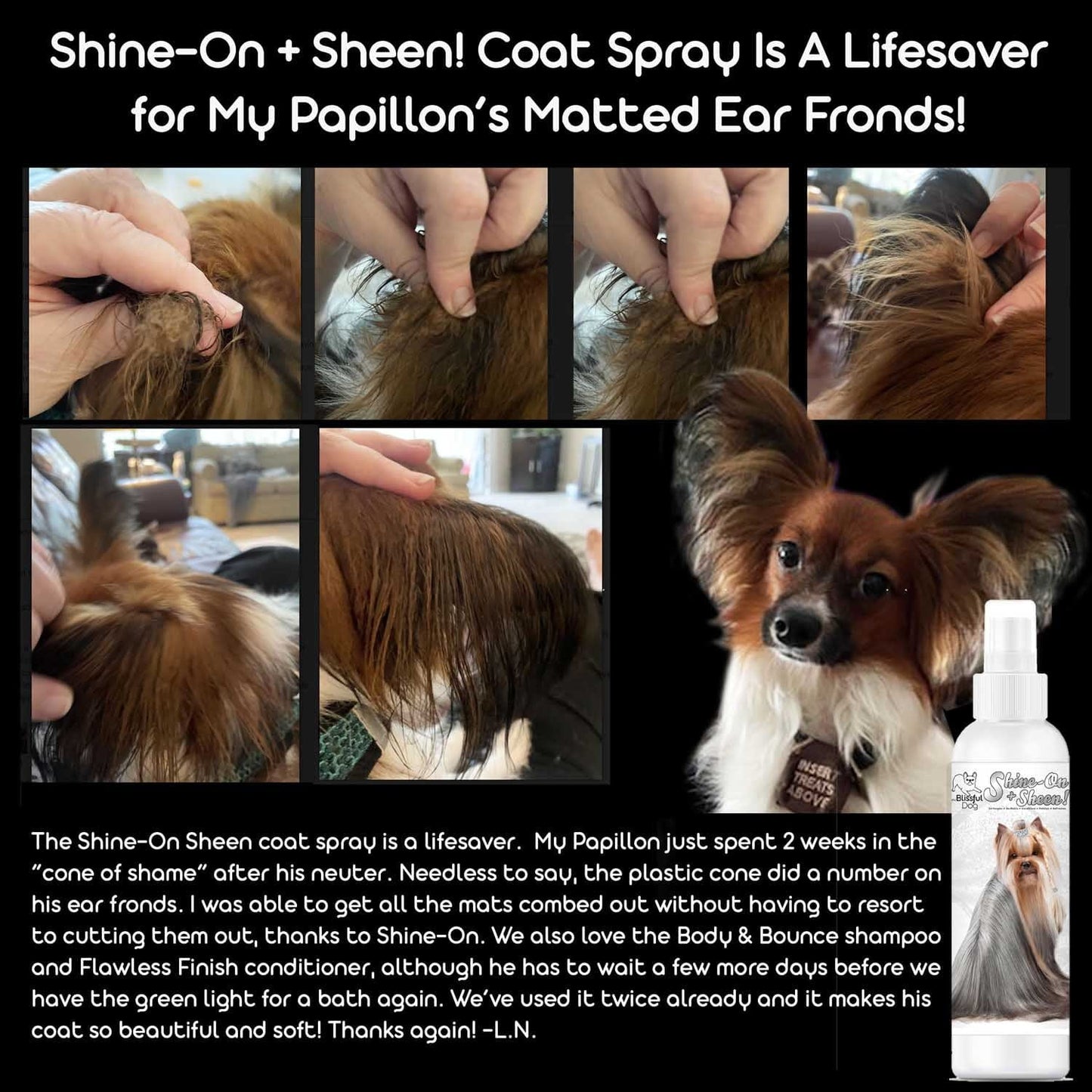 The Blissful Dog Shine-On+Sheen Dog De-Tangling Coat Spray