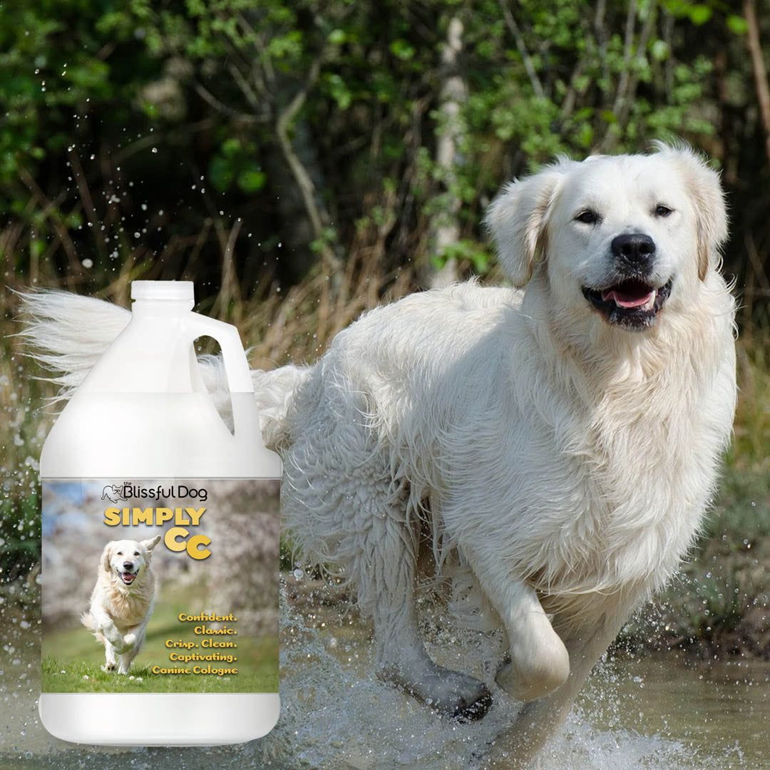 The Blissful Dog Simply CC Dog Cologne for the Classically Confident Canine