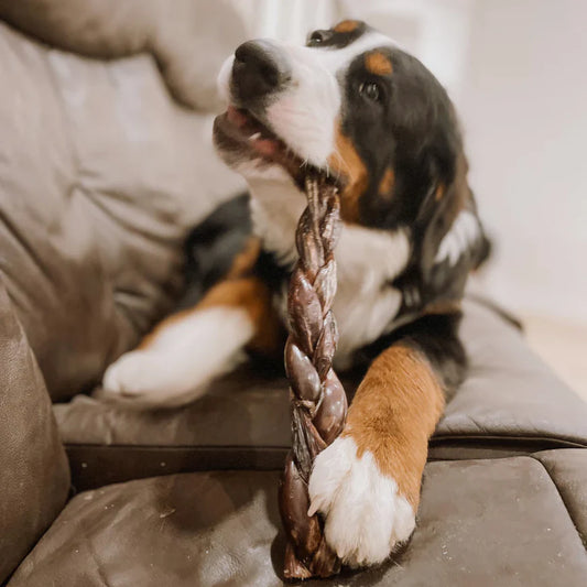 Bully Bunches - 12 Inch Braided Jerky Stick
